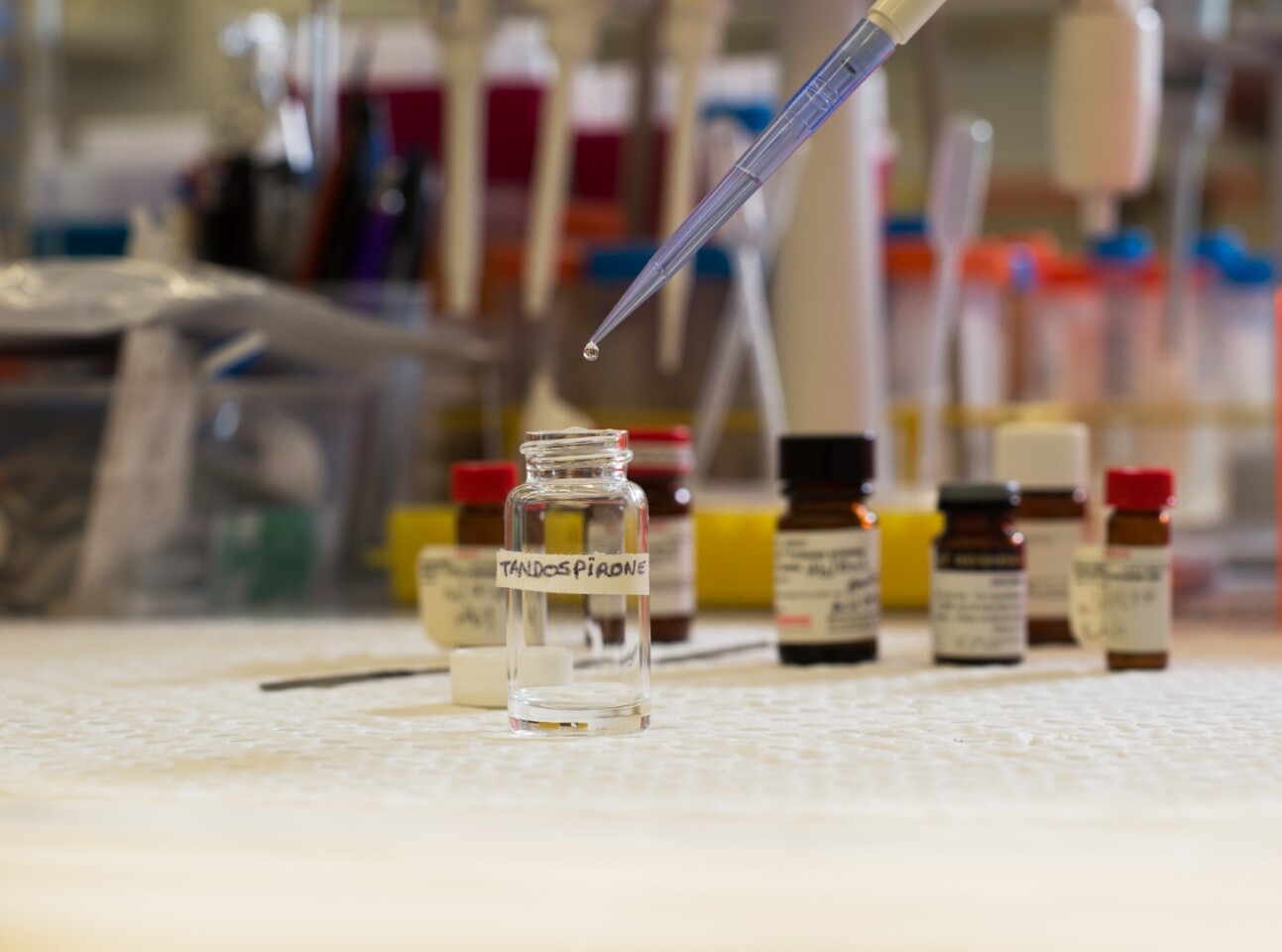 Tandospirone is usually prescribed to treat anxiety and depression, but Australian scientists have now found that it can reverse some of the brain-damaging effects of alcohol abuse