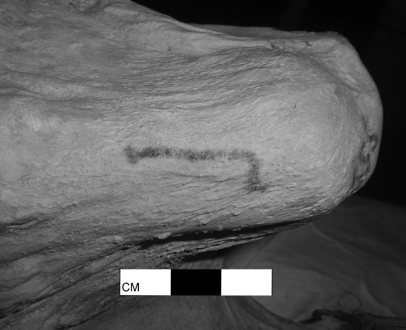 The tattoos discovered on the Egyptian mummies are the oldest figurative tattoos ever found on human remains