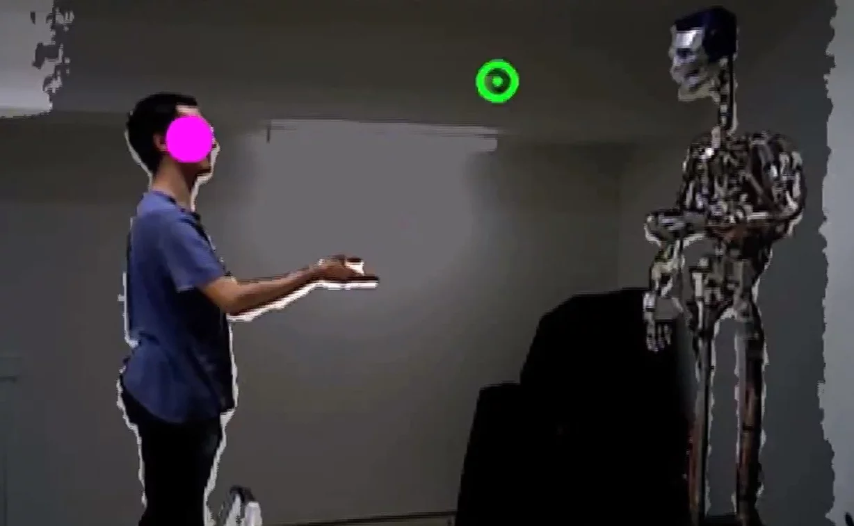 View from the external camera system