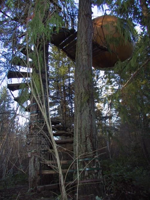 The spiral staircase entrance