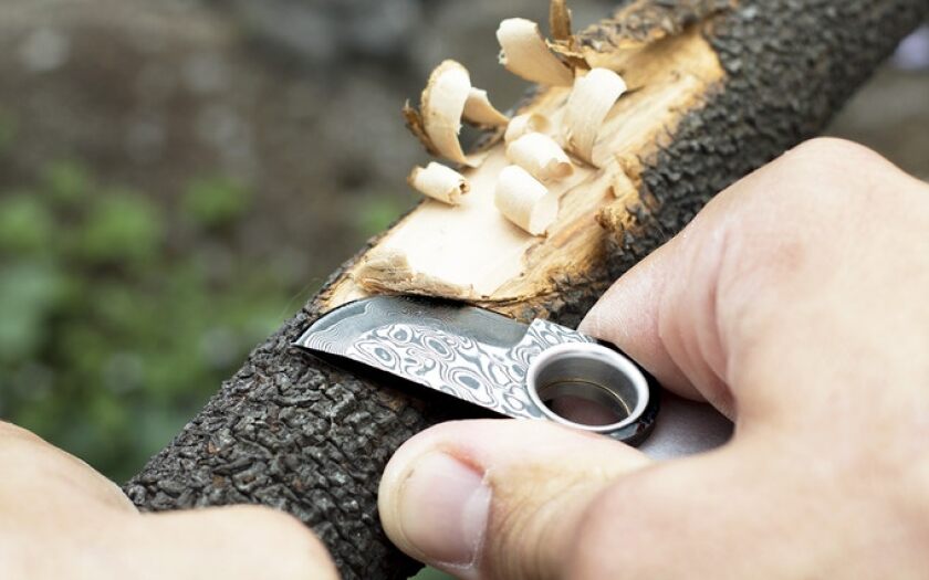 It looks robust by virtue of its short (4-cm or 1.6-inch) but thick blade