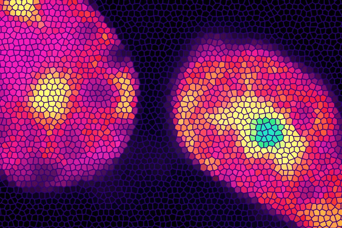 A protein activated by nicotine provides insight into how fat cells