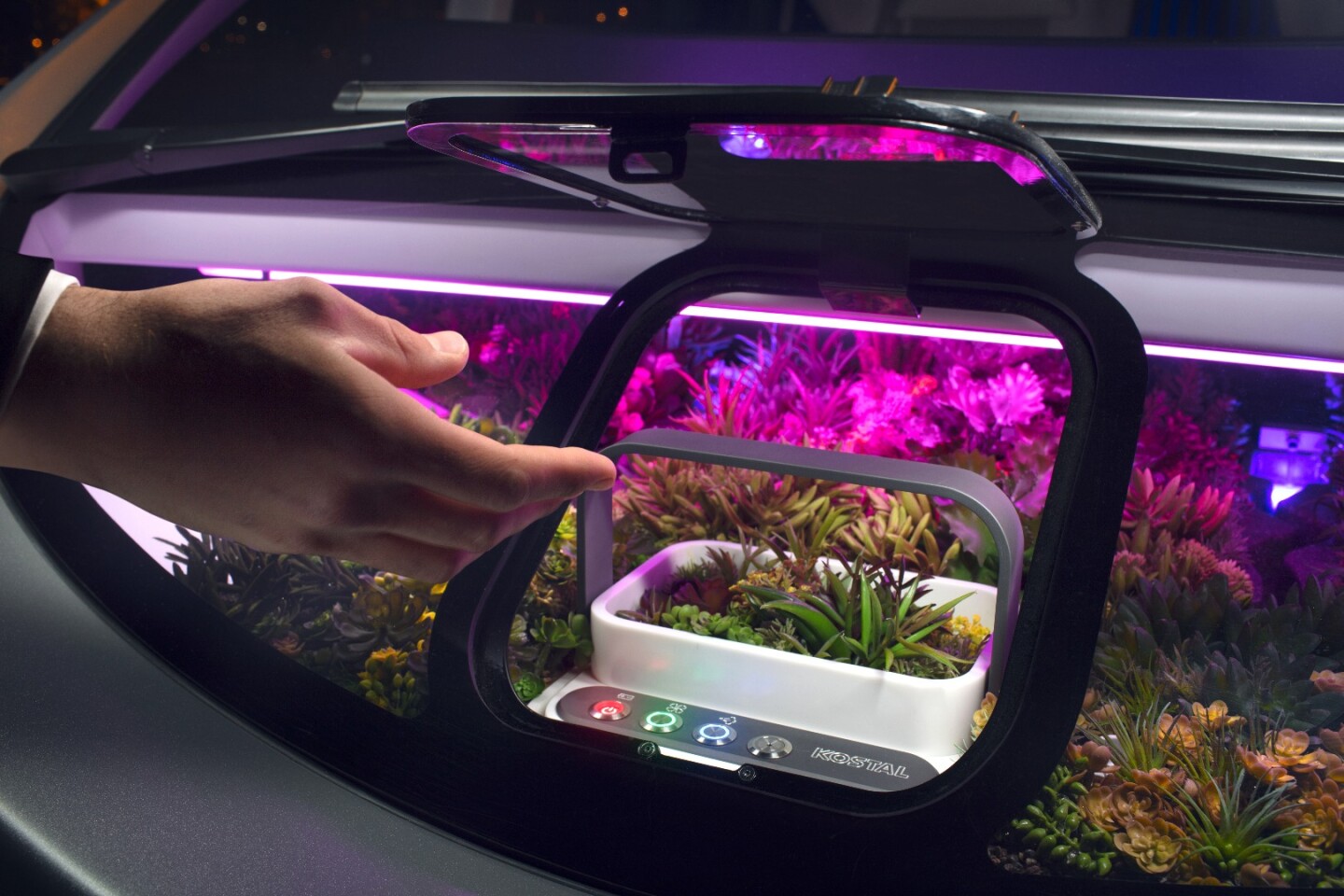The garden brings a touch of the natural world to a high-tech digital space