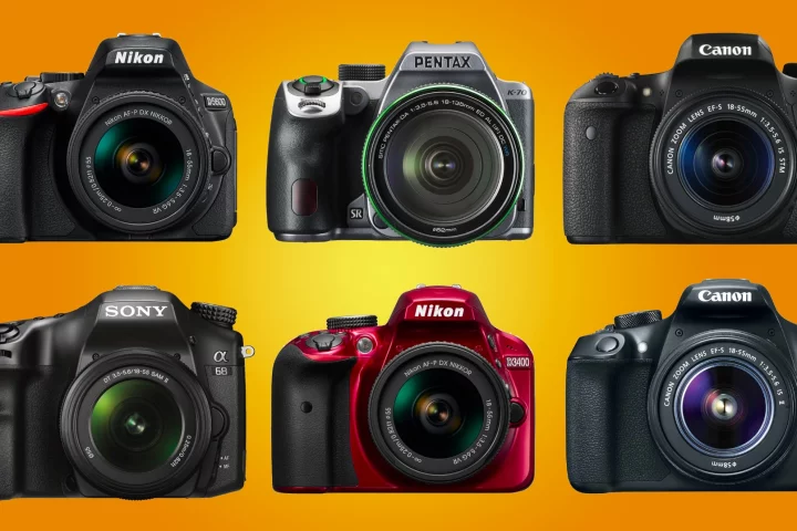 We look at some of the best DSLRs for beginner photographers