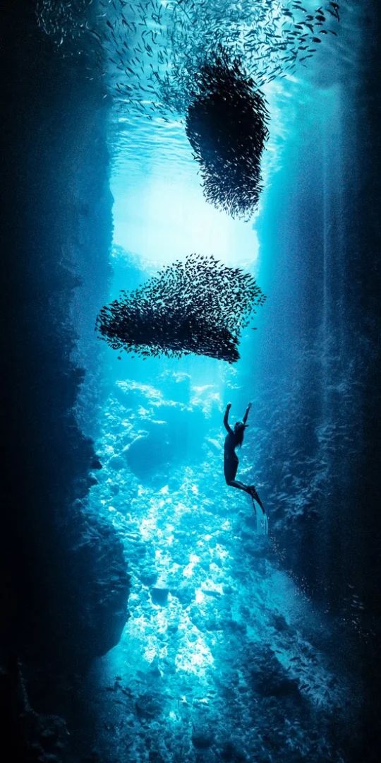 Second place in the Carolyn Mitchum Award went to this photograph from Tonga, taken by Rita Kluge