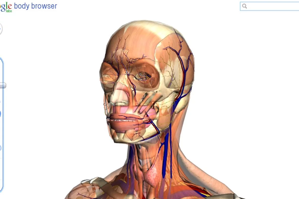 Google Labs has revealed an interesting example of HTML5 and WebGL technology in the Body Browser, an interactive 3D journey through and around the human body