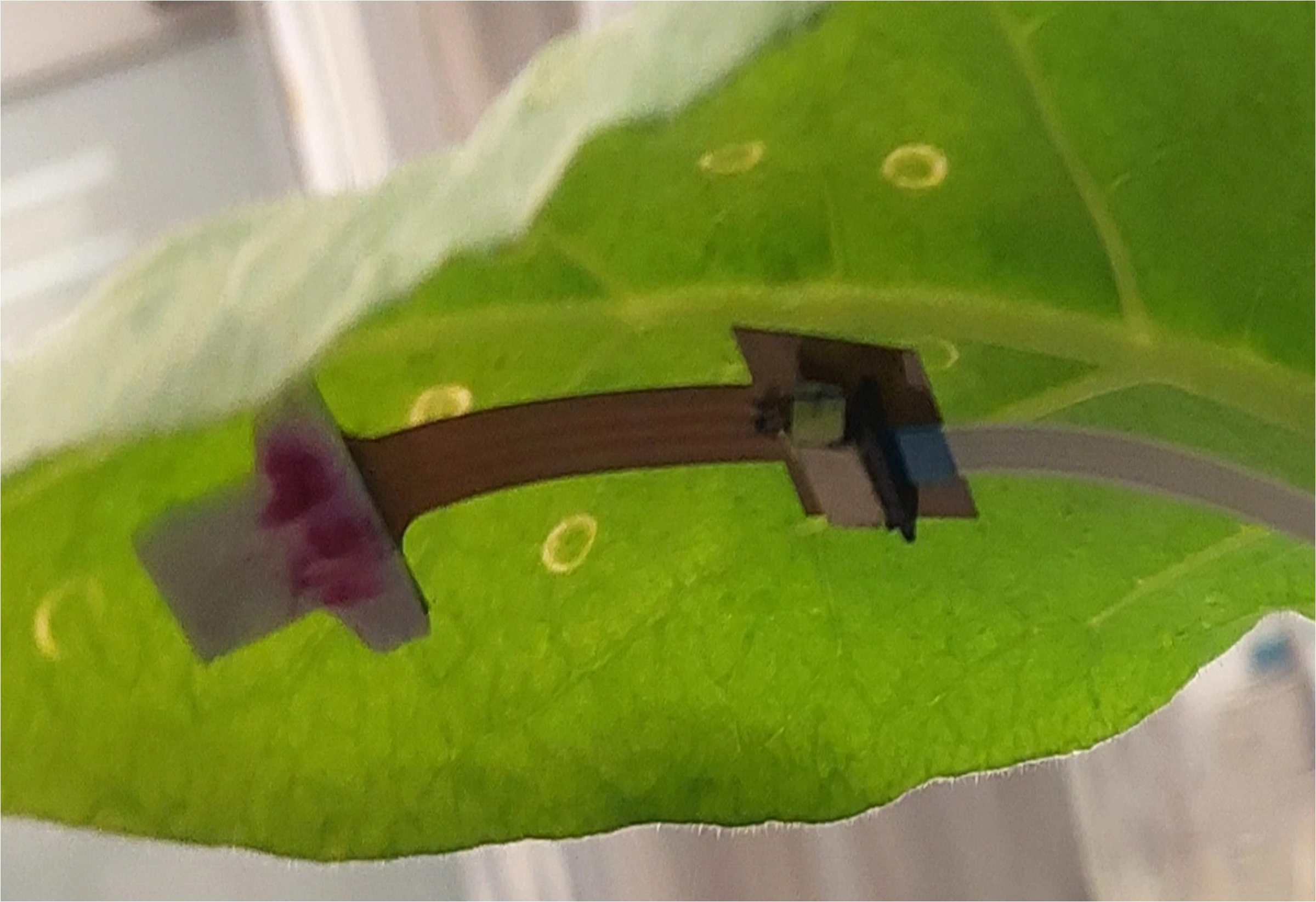 The sensor has already been tested on soybean and tobacco plants