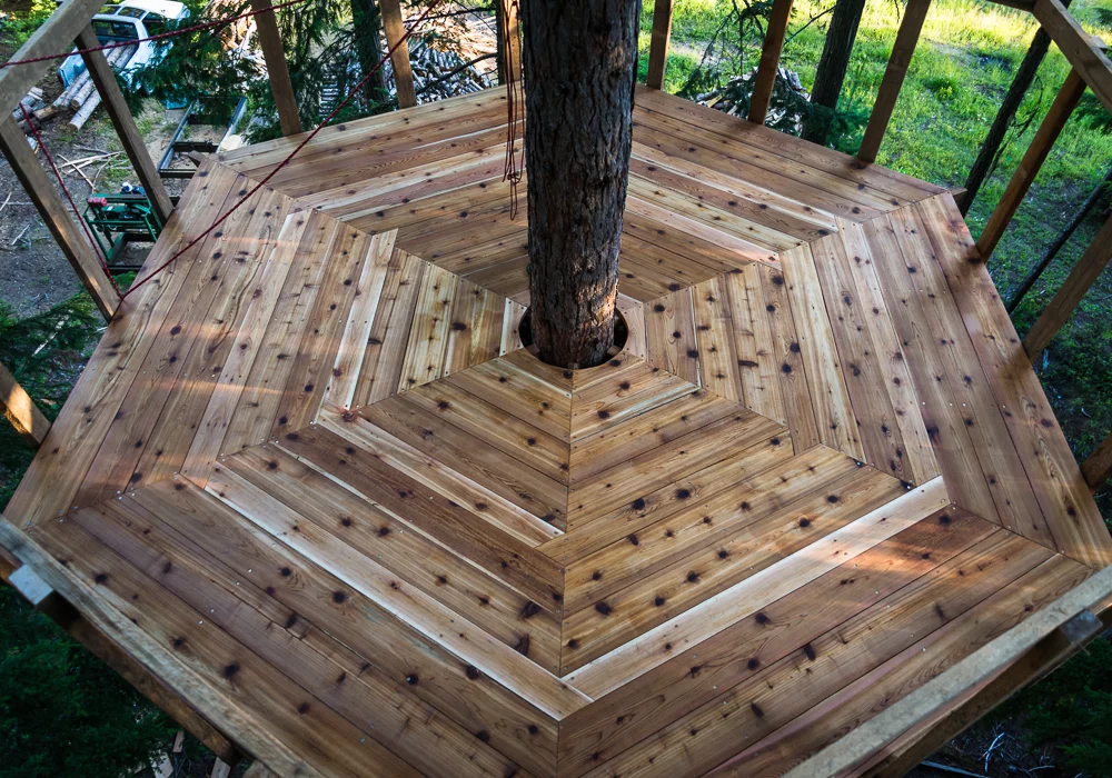 The treehouse deck (Photo: Ethan Schlussler)
