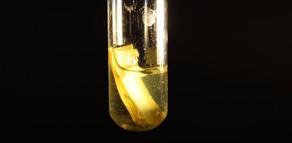 A strip of paper can be turned into hydrogen gas using the new process