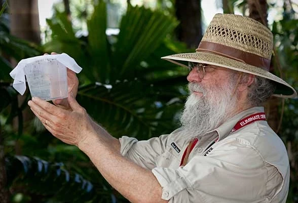Eliminate Dengue: Our Challenge will be trialed in Brazil in 2014 in an attempt to halt the epidemic in that country