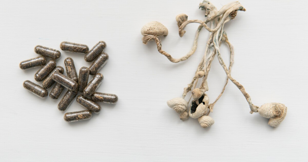 5 Best Ways to Choose the Best Microdose Psilocybin Capsules for Optimal Wellness - Psychedelic Today Magic Mushroom Microdosing In Australia