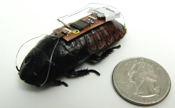 Researchers at North Carolina State University have used the Xbox Kinect to put roaches on autopilot