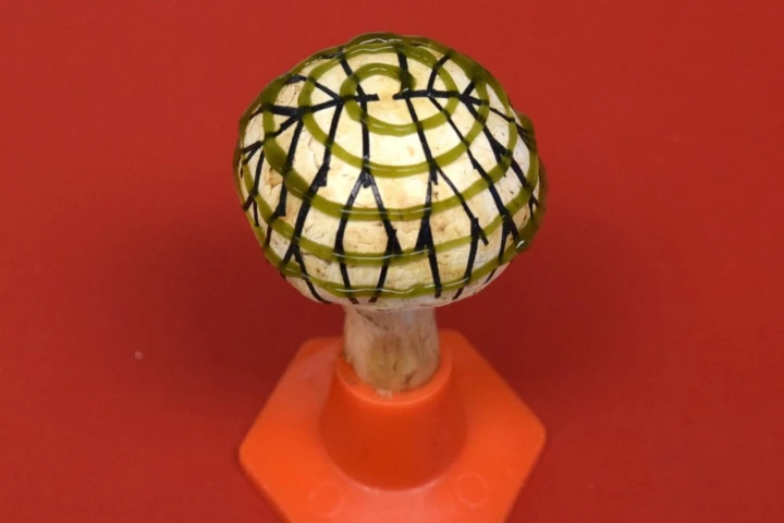 An electrode network (branched pattern) and cyanobacteria (spiral pattern) were 3D-printed onto the mushroom