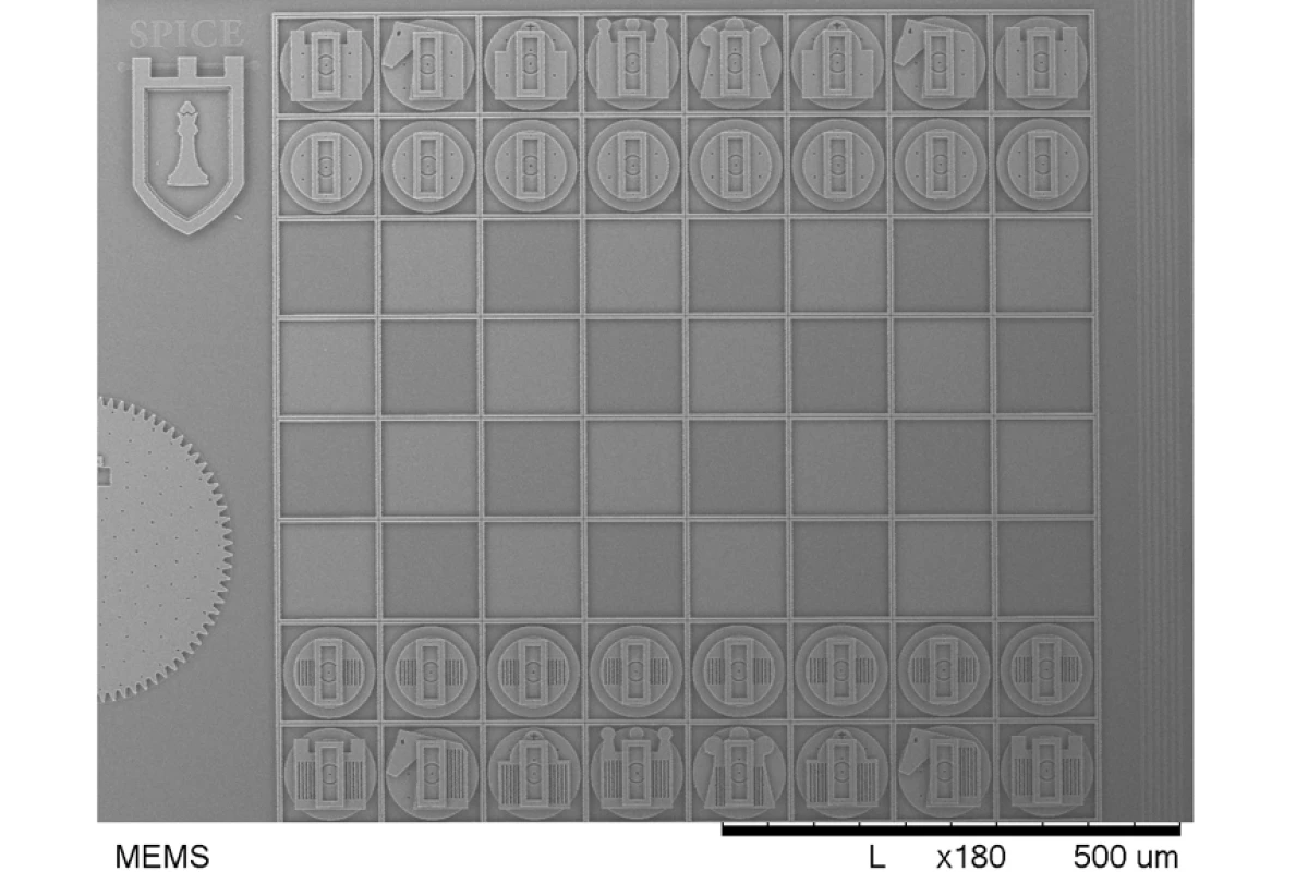 The teeny tiny chessboard designed by the Texas Tech team for Sandia Lab's annual MEMS student design competition features chess pieces half the width of a human hair