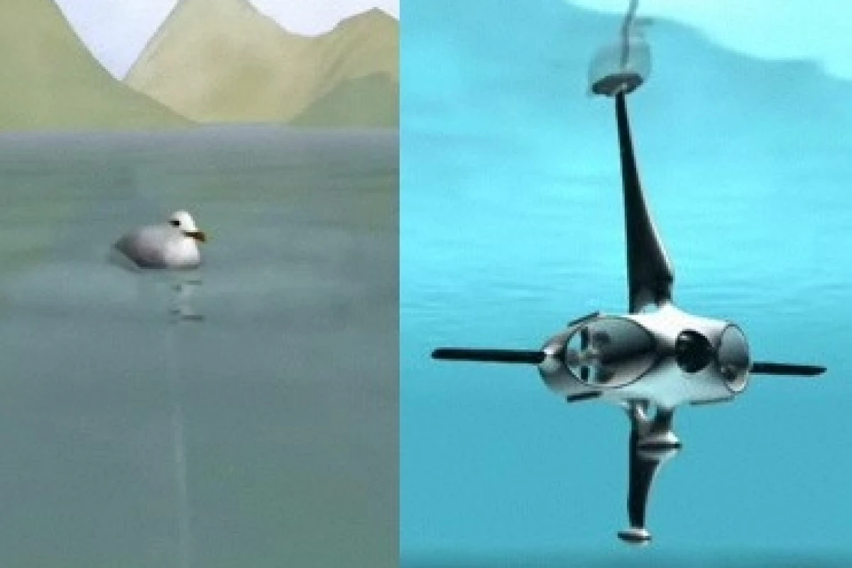 Macroswiss's Hydrobot mimics a seagull floating on the water.