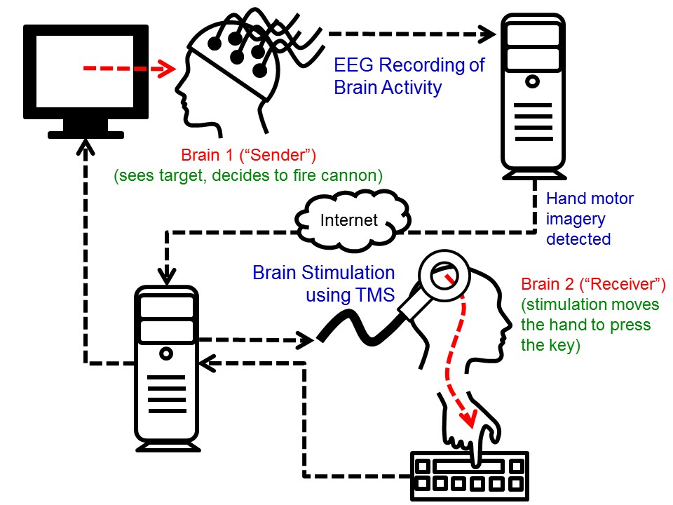 Scientists achieve human braintobrain interface