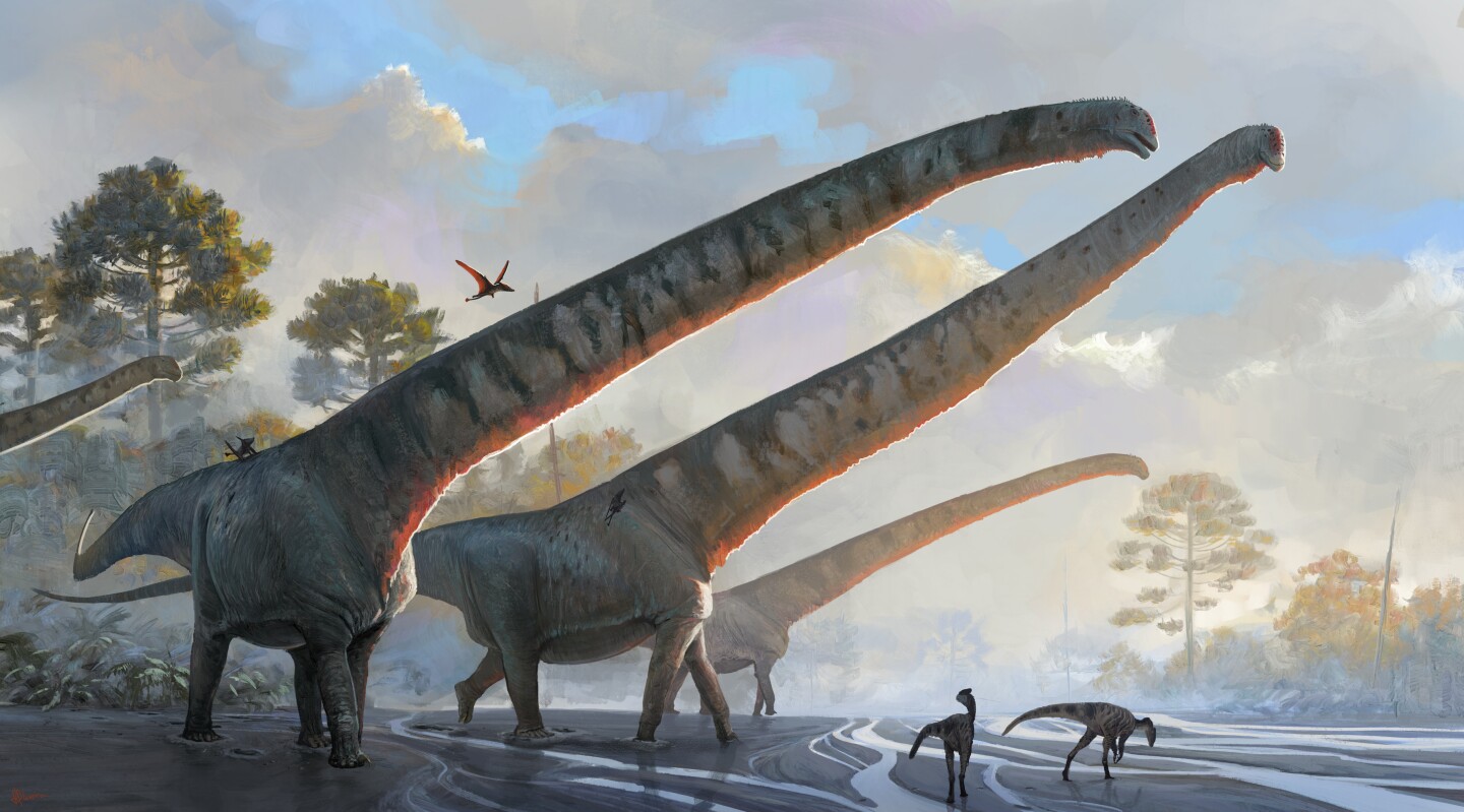 An artist's impression of Mamenchisaurus sinocanadorum, which a new study claims had the longest neck of any animal that ever lived