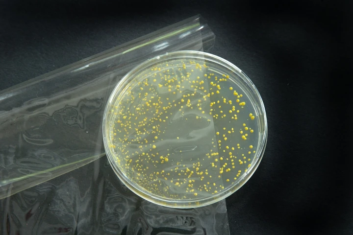 Fraunhofer's antibacterial food packaging film kills bacteria on food by releasing sorbic acid