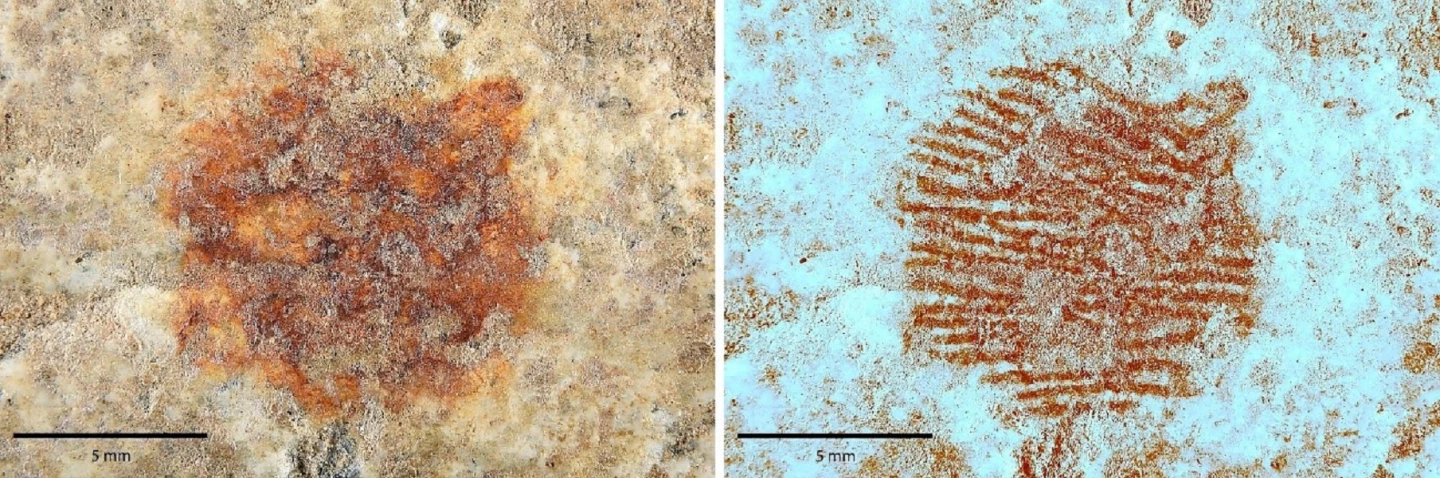 Multispectral analysis reveals the details of the fingerprint