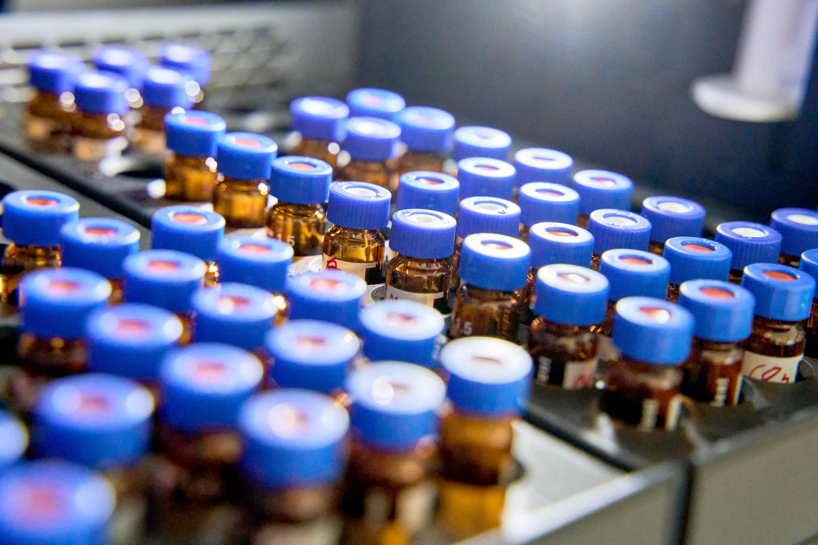 A collection of amber bottles in trays covered in blue caps