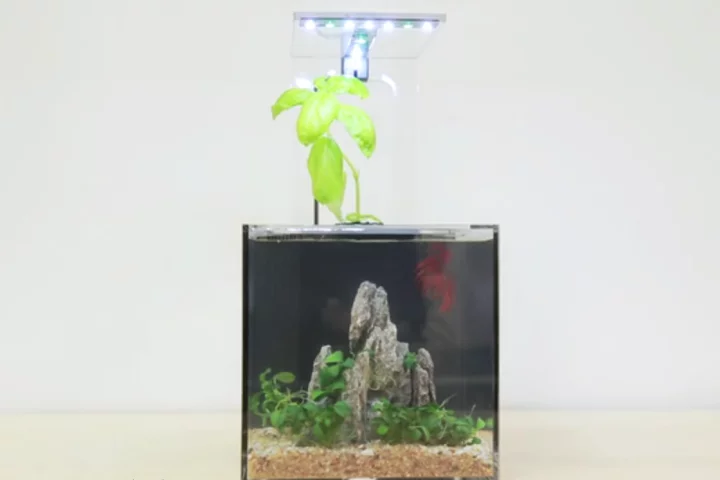 The EcoQube C reportedly doesn't need to be cleaned by its owner