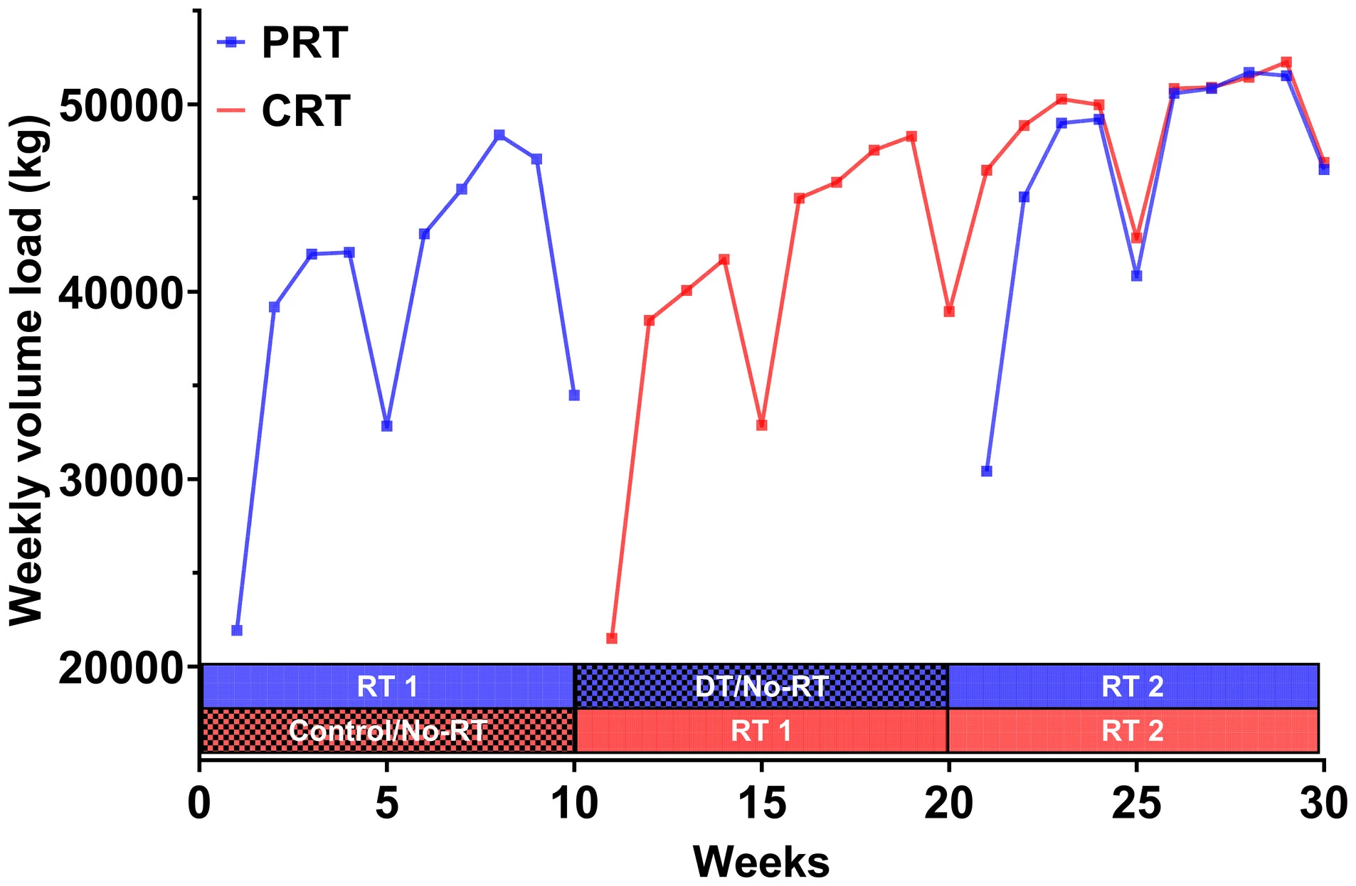 Very little muscle strength was lost even after a 10-week hiatus