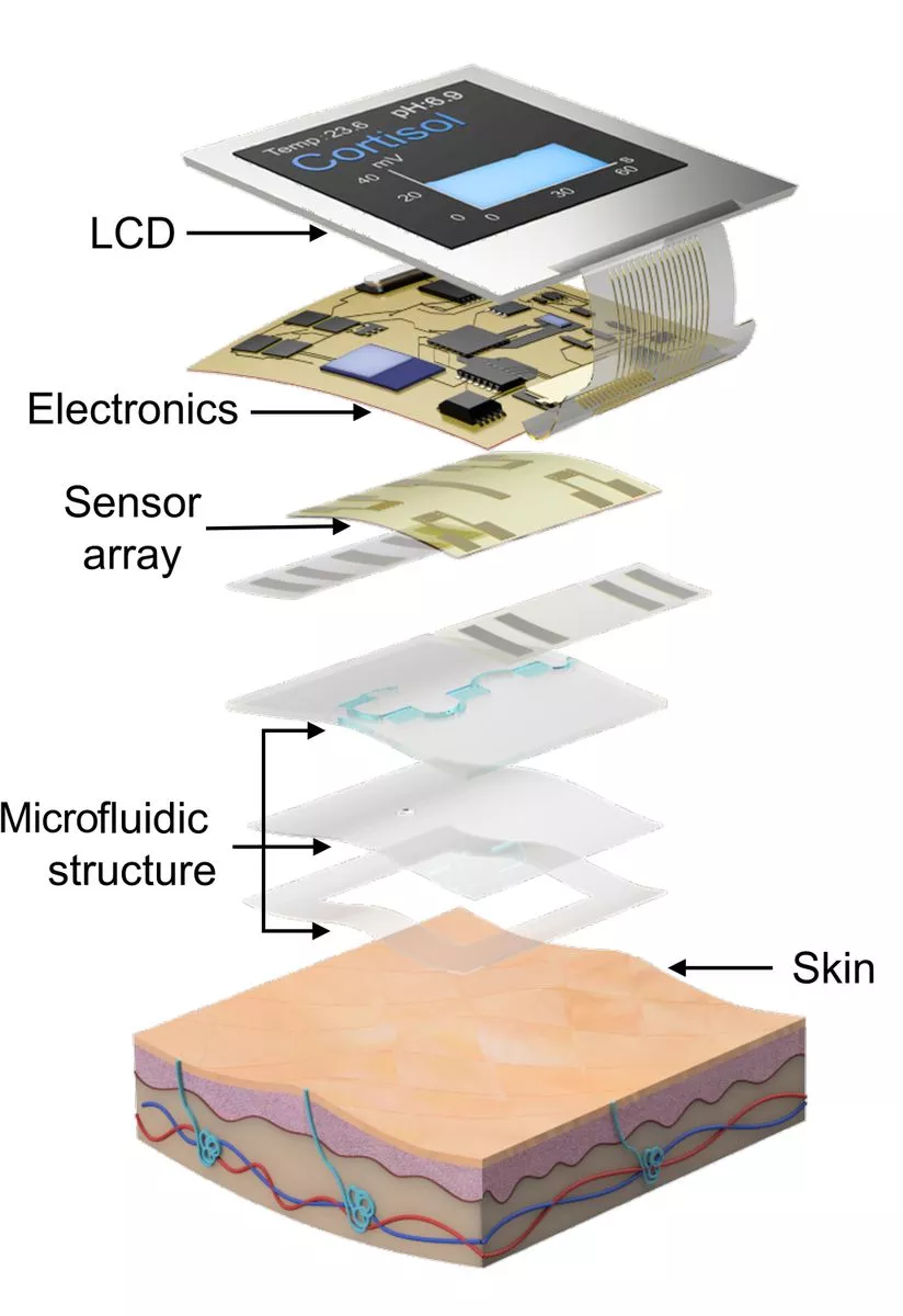An exploded diagram of the smartwatch