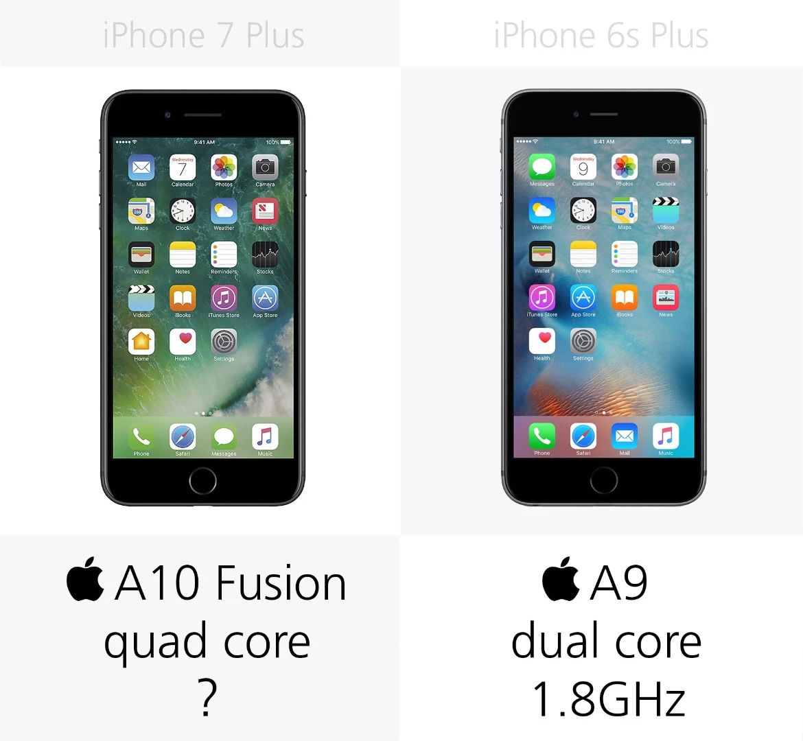Processor