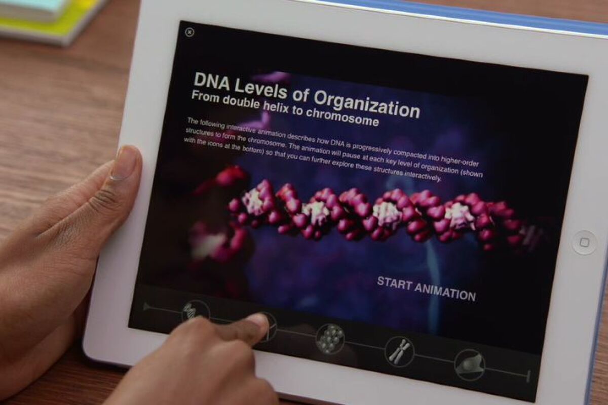 will apple ever release ibooks for pc will apple ever release ibooks for pc