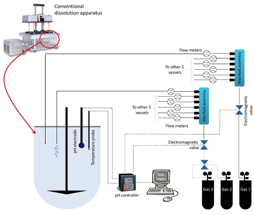 A schematic diagram of the gut simulator