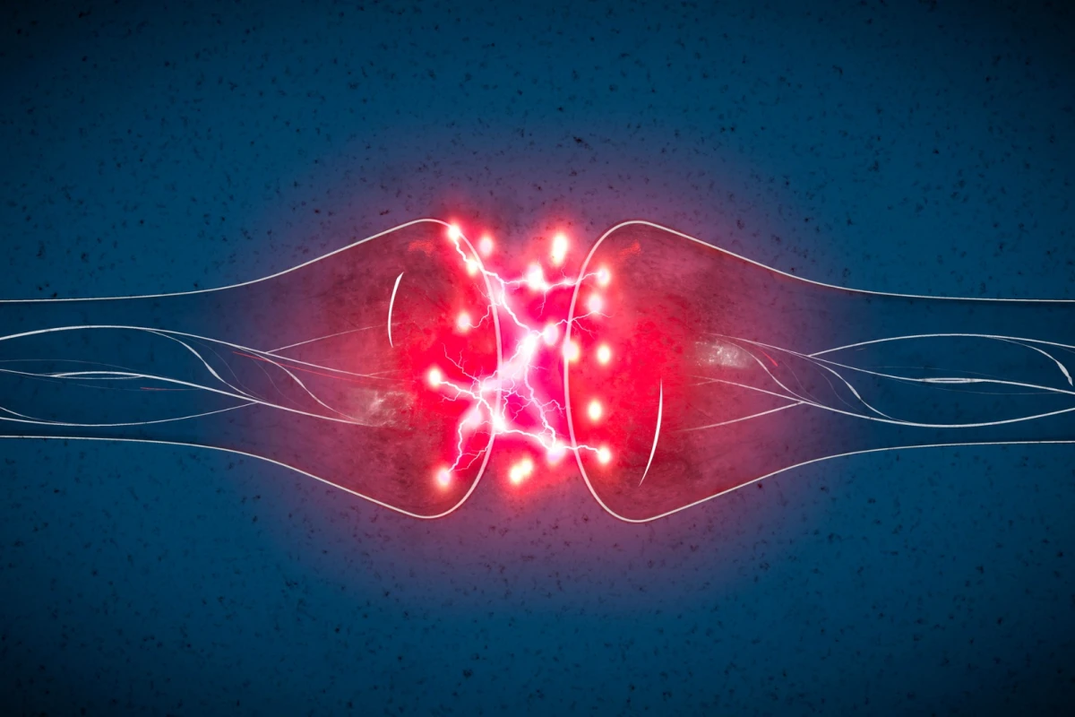 Using a PET scan researchers hope to measure synaptic density which can signal early stages of cognitive decline