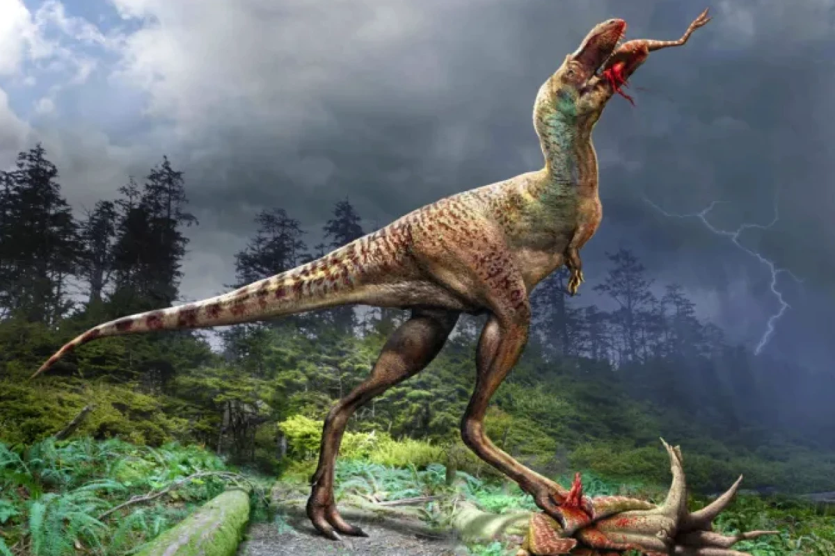 Gorgosaurus libratus feeding on the hind legs of Citipes elegans