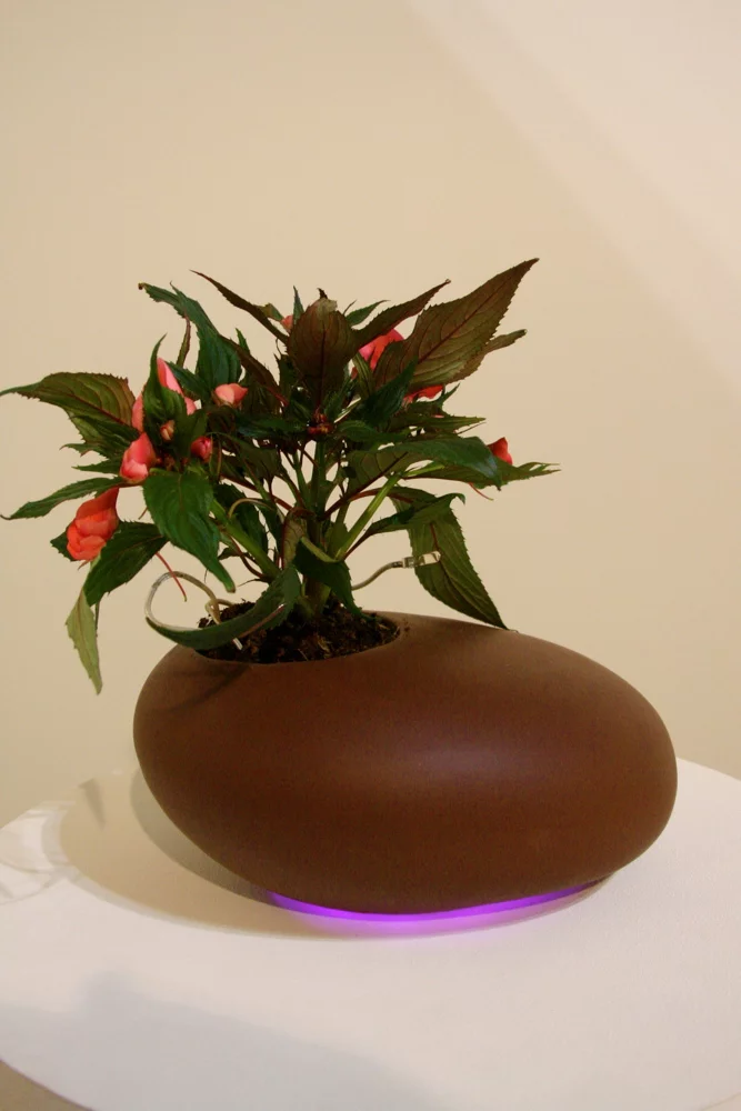The music played through the plant is produced instantaneously and no two plants can ever sound the same (Photo: Bridget Borgoello/Gizmag)