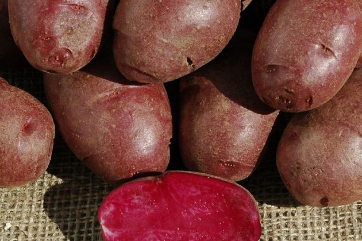 Purple potatoes, anyone?