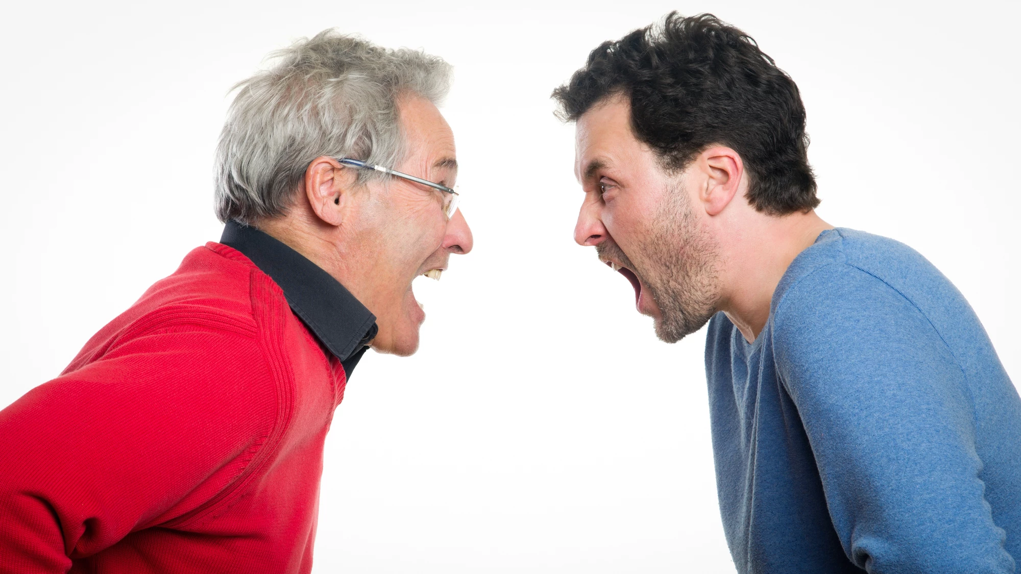 Researchers have found a link between the gut microbiome and aggression