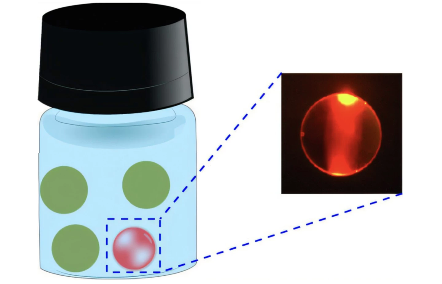 WGM lasing observed from olive oil droplets floating in water under the exposure of blue pulsed laser