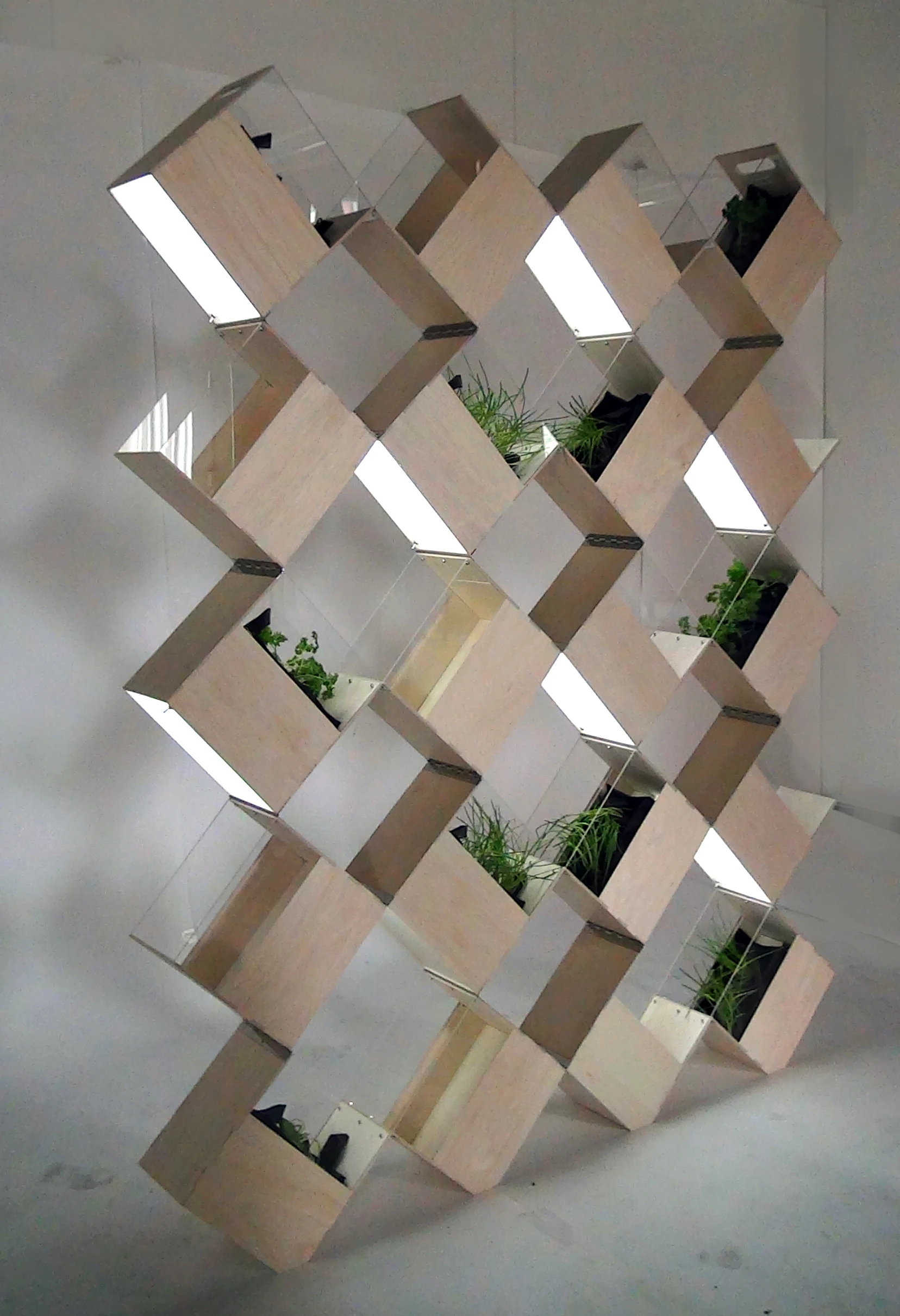 A manual pull-up mechanism is used to lift the strategically-hinged containers so that gaps appear between them to allow for ventilation and harvesting