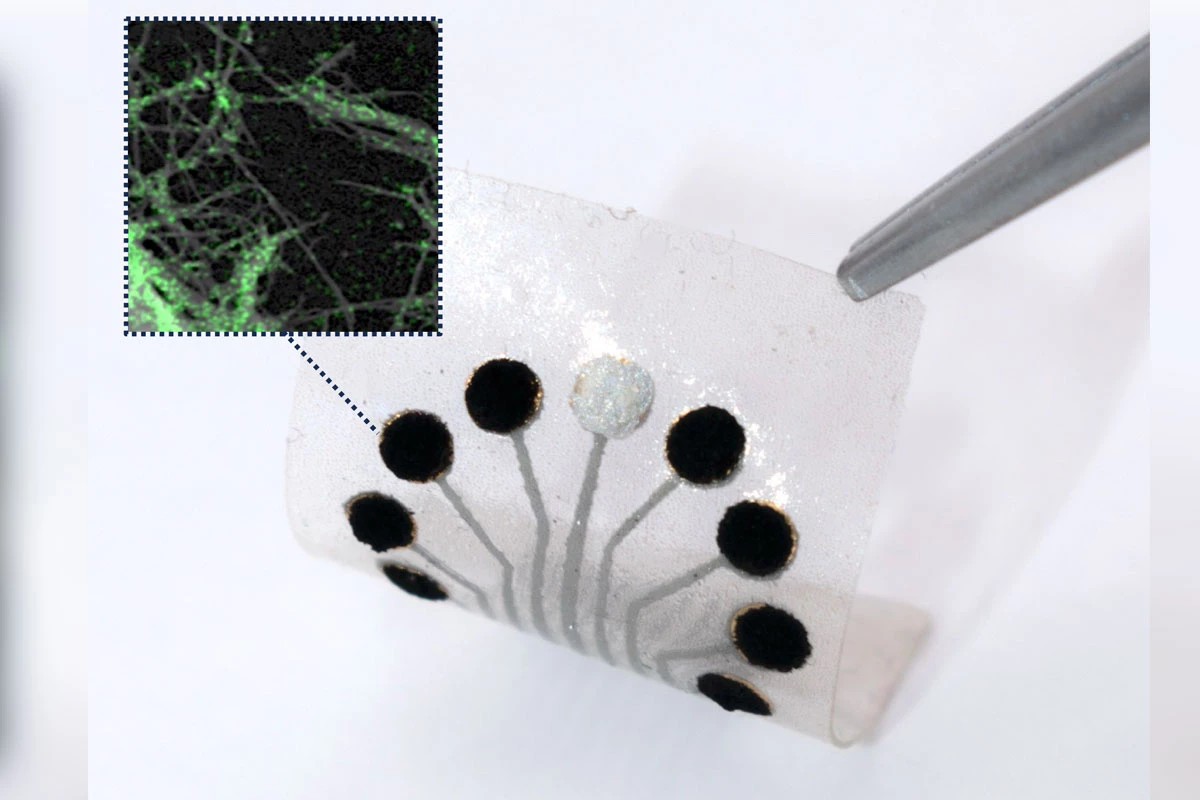 The TMR sensor enables real-time monitoring of a wide range of metabolites; A spectroscopic image shows on-electrode molecules that drive metabolite-sensing reactions (inset)