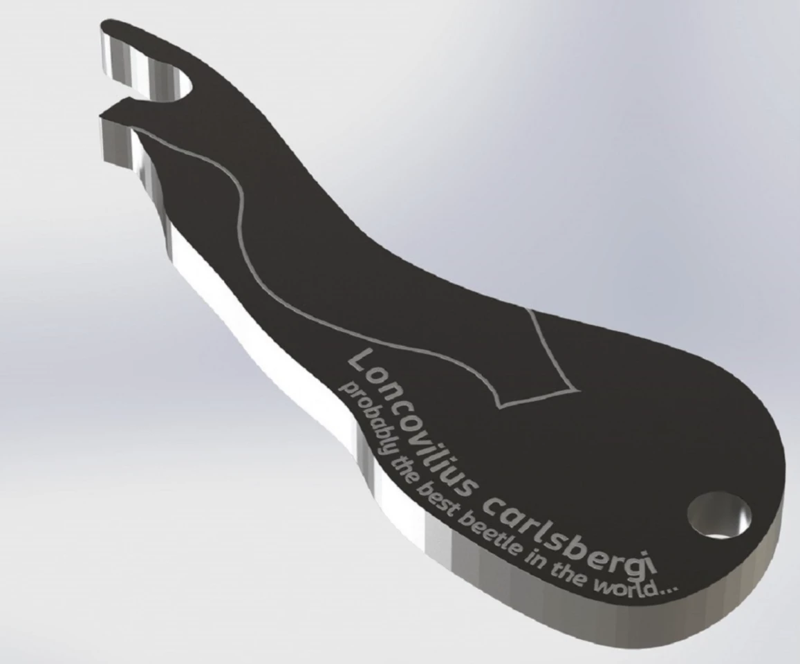 Rendering of the bottle opener based on the genitalia of the Loncovilius carlsbergi beetle