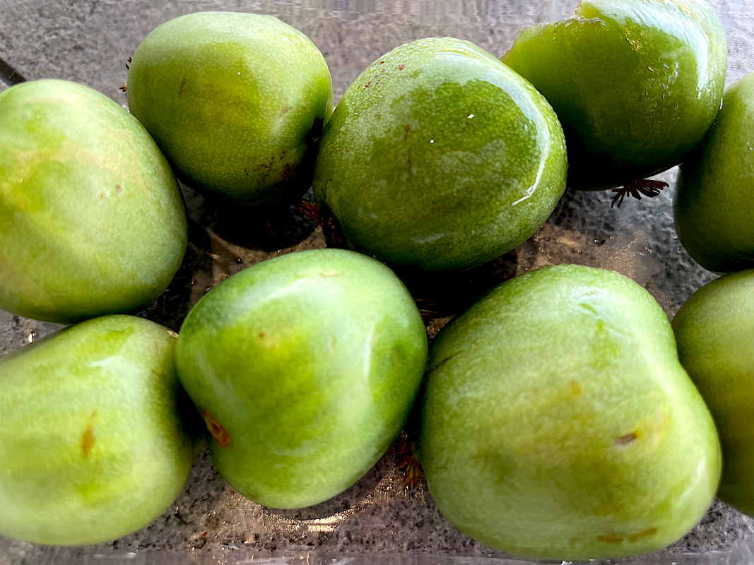 Wild history of unknown superfood that's now destined for fame