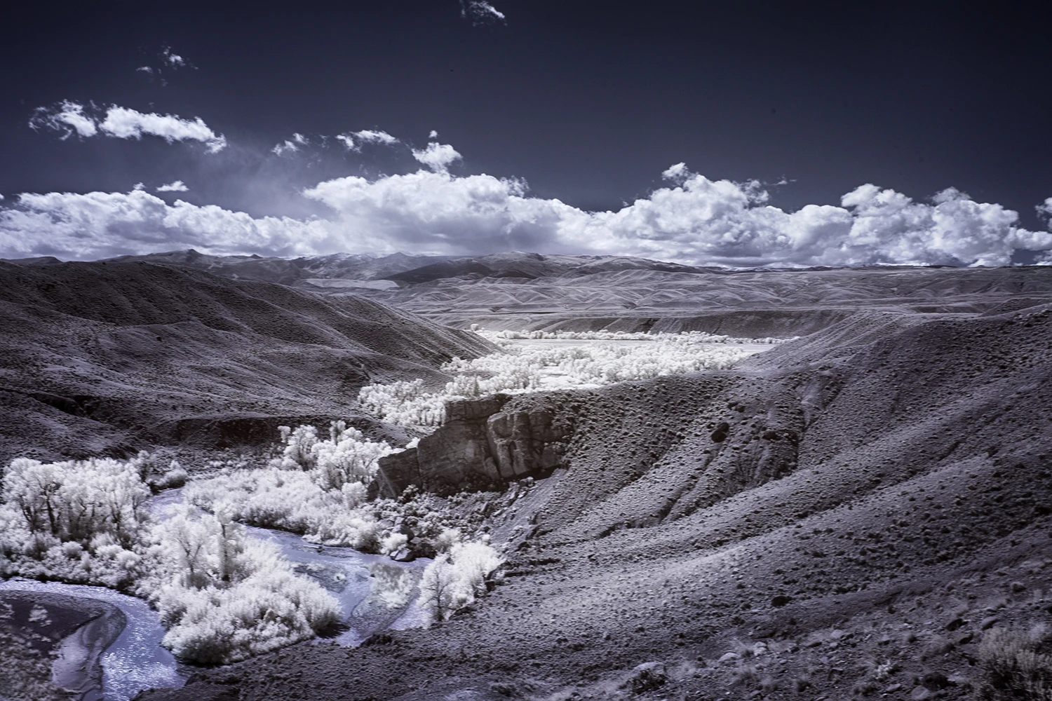 Greg Westfall’s infrared photography, using a converted Canon EOS-1D Mark II, captures a 720 nm wavelength, whiting out all the greenery (Credit: Greg Westfall Flickr / CC BY 2.0)