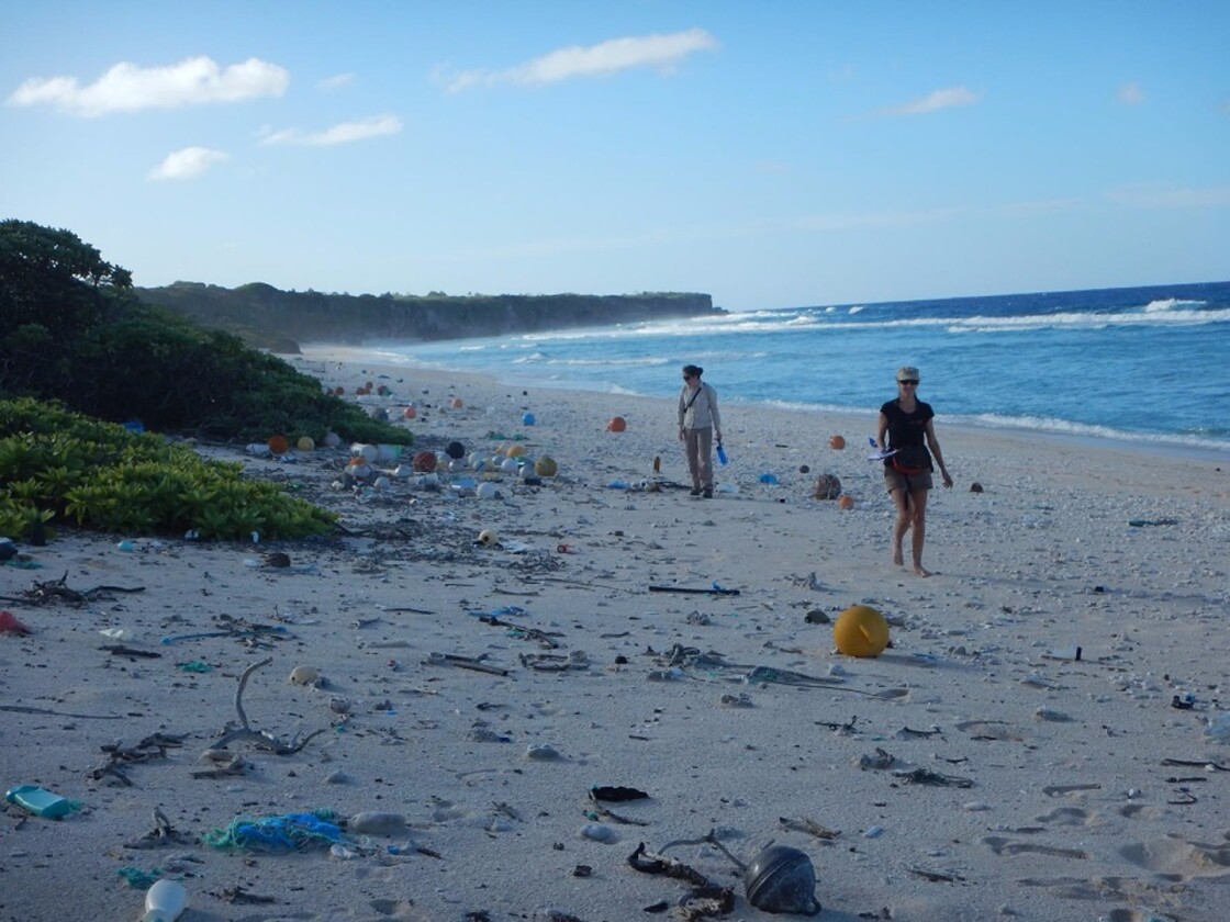 A total of 37.7 million pieces of plastic had washed up and spread out over Henderson Island, researchers say