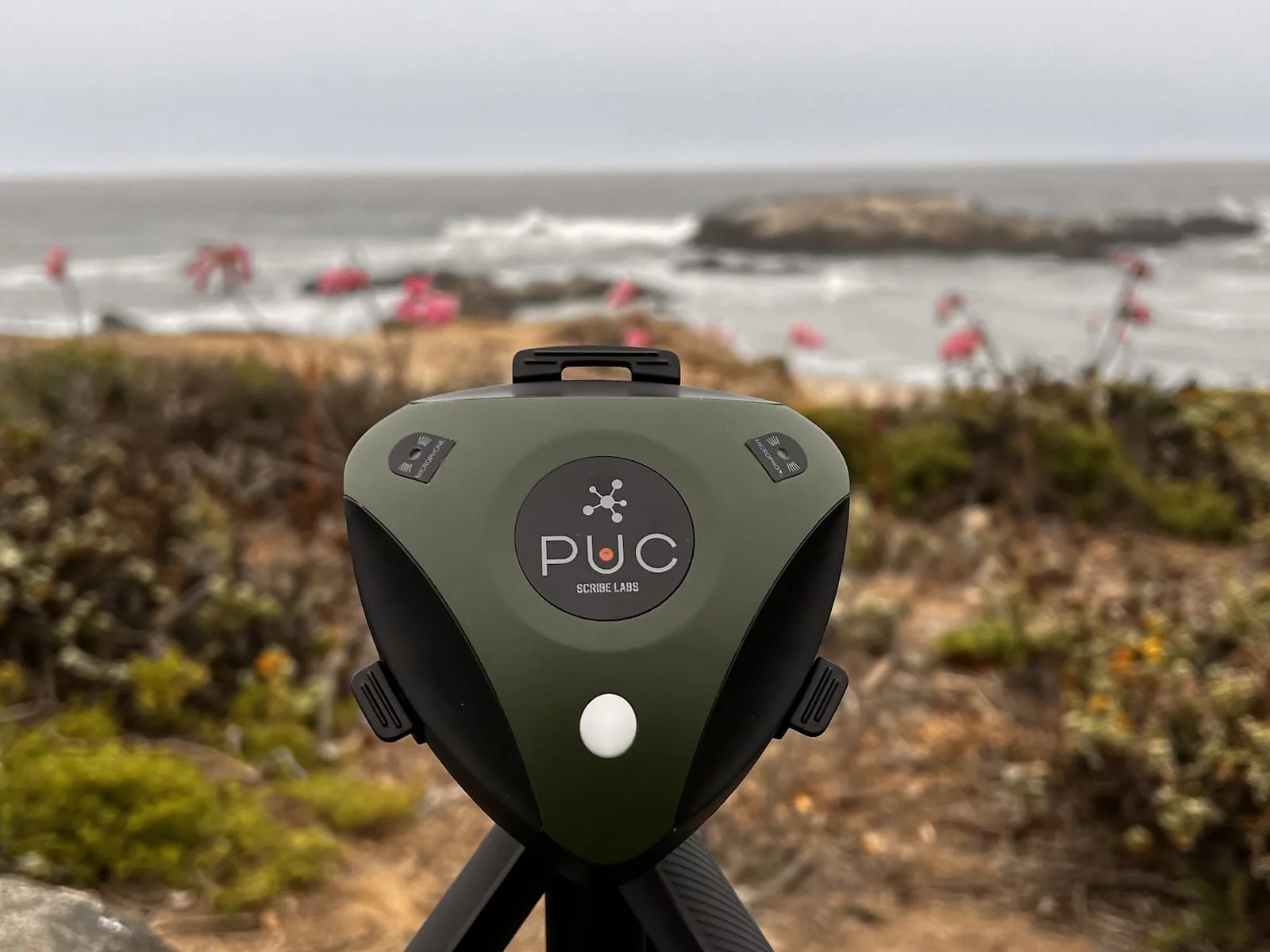 You don't need to be a bird expert to find out all about the feathered friends in your environment