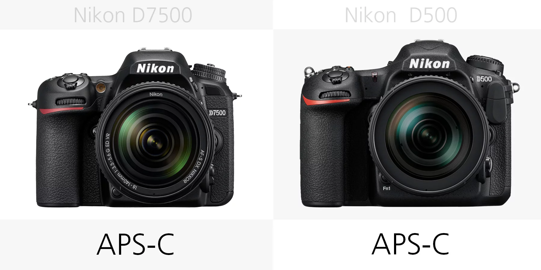 The sensor size of the Nikon D7500 and Nikon D500 compared