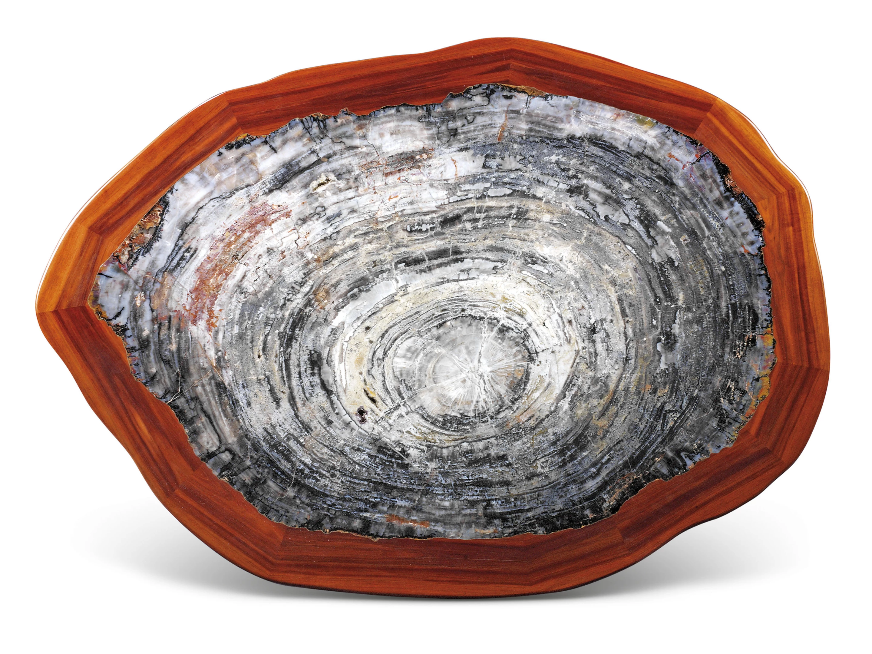 Table-formed specimen of Araucarioxylon arizonicum from the Triassic (circa 225 million years ago). Petrified wood measures 571⁄2 x 411⁄2 x 153⁄4in. (146 x 105 x 40cm.) | Sold for: $11,462 (£9,375) by Christie's on May 21, 2020