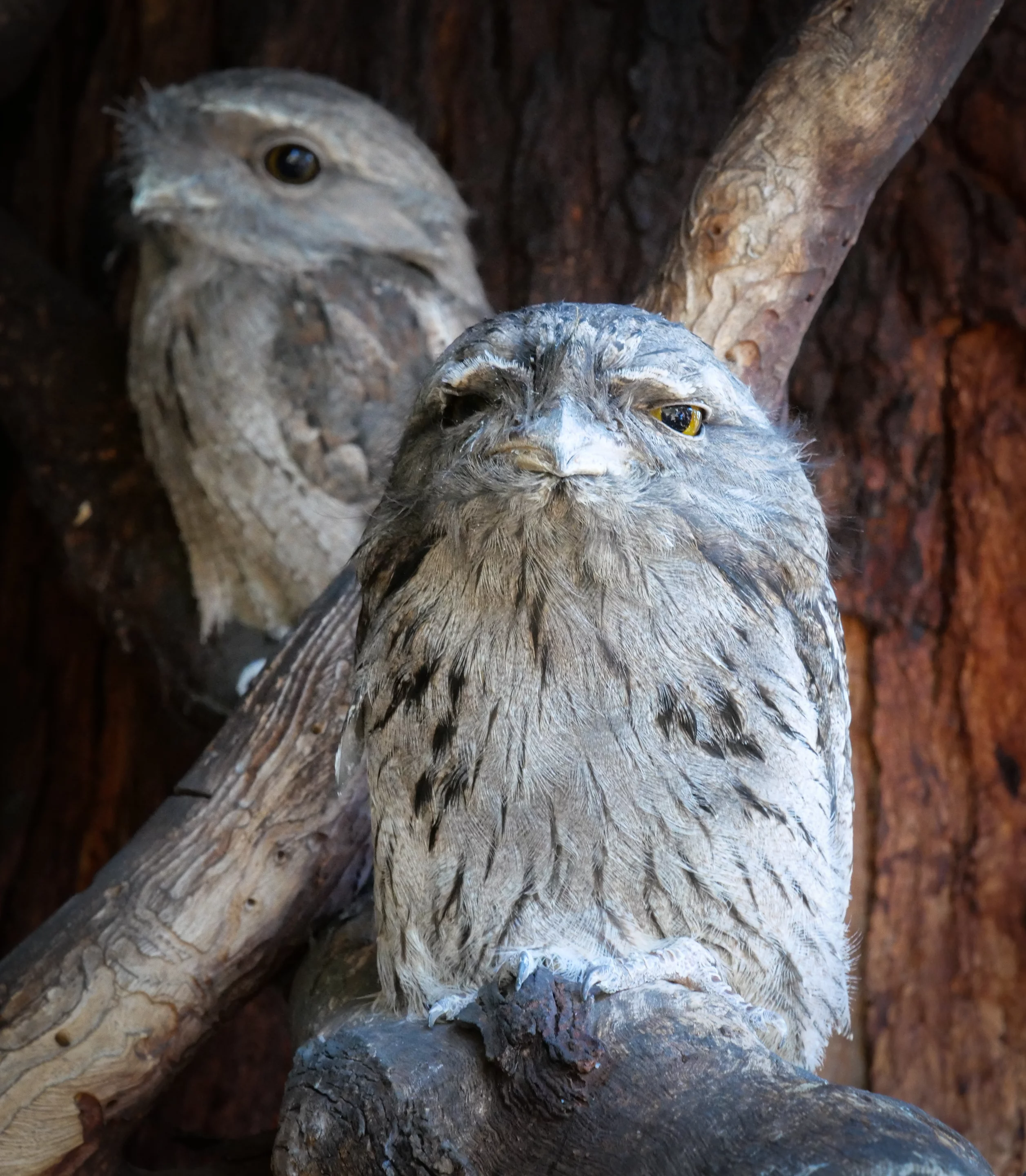 LUMIX S1R sample shot: 24-105 mm, ISO 6400, f/14, 1/125 sec