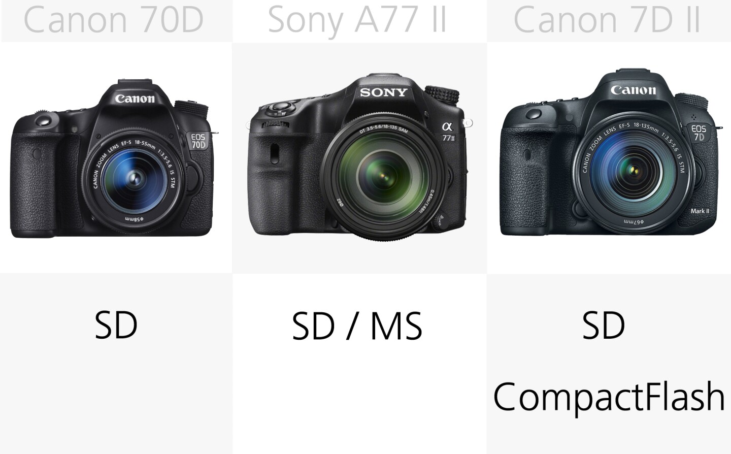 The Canon 7D M2 has dual card slots, one SD and one CompactFlash