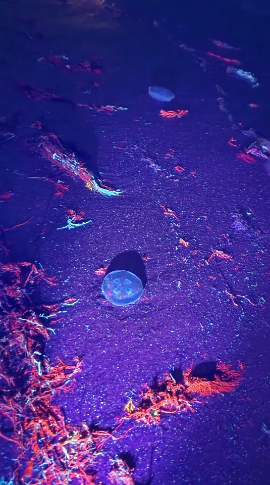 The shoreline is pretty fun with the ArkPro's UV light. I wish it were a little brighter/stronger, but it's still good fun.
