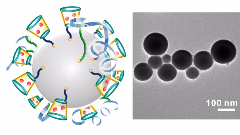 On left is a schematic illustration of liquid-metal ‘nano-terminators.’ The red spheres are Dox. At right is a representative TEM (Transmission electron microscopy) image of liquid-metal nano-terminators.