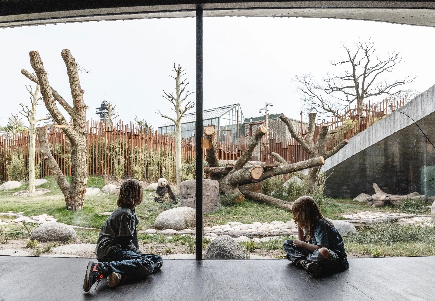 Panda House measures 4,950 sq m (53,281 sq ft)